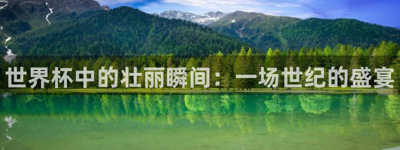 世界杯足球赛：世界杯中的壮丽瞬间：一场世纪的盛宴