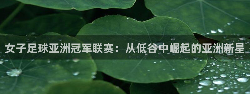 世界杯预选赛规则：女子足球亚洲冠军联赛：从低谷中崛起的亚洲新星
