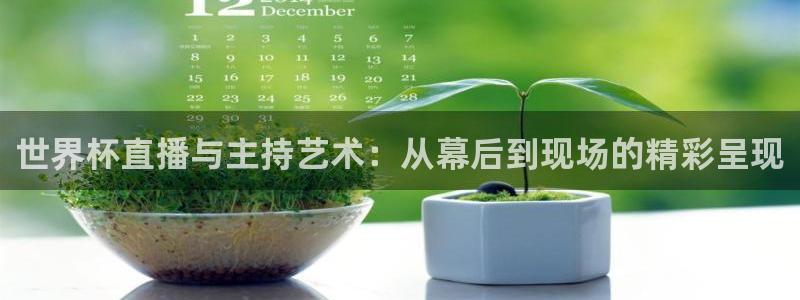 世界杯亚洲区预选赛：世界杯直播与主持艺术：从幕后到现场的精彩呈现