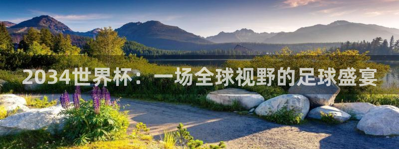 世界杯决赛直播：2034世界杯：一场全球视野的足球盛宴