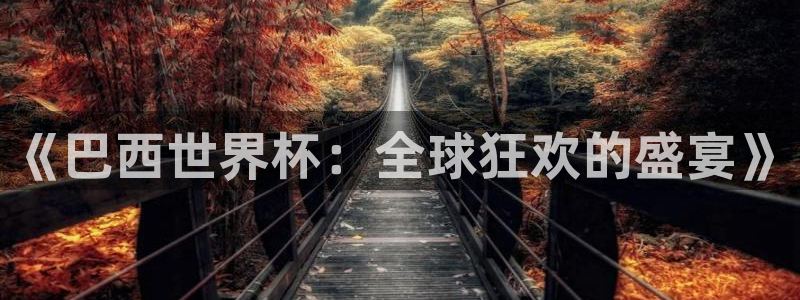 世界杯赛程表：《巴西世界杯：全球狂欢的盛宴》