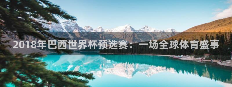 2026世界杯赛程表完整版：2018年巴西世界杯预选赛：一场全球体育盛事