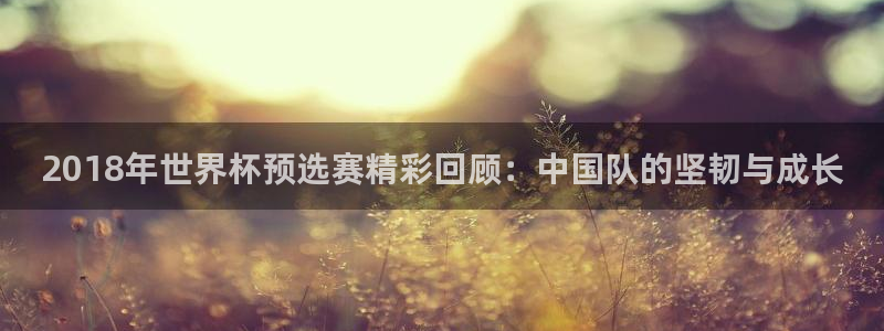 足球杯：2018年世界杯预选赛精彩回顾：中国队的坚韧与成长