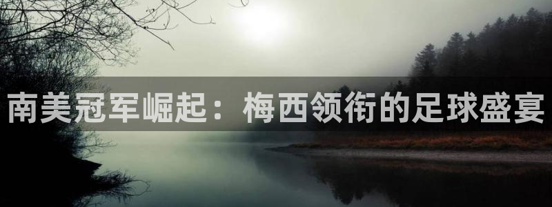 2026年世界杯直播平台：南美冠军崛起：梅西领衔的足球盛宴