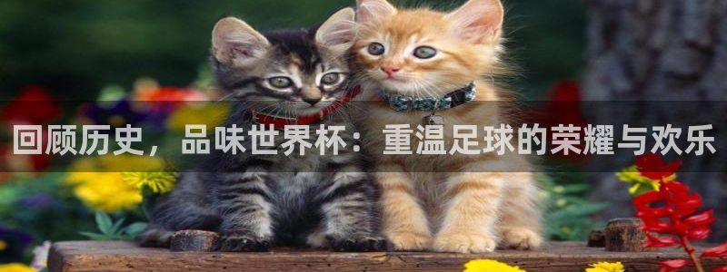 中国 世界杯：回顾历史，品味世界杯：重温足球的荣耀与欢乐