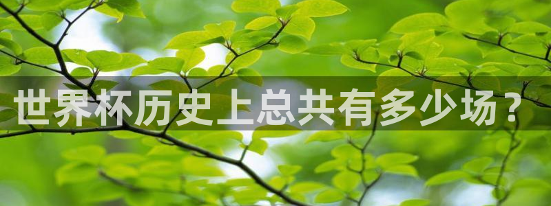 世界杯亚洲区预选赛赛程：世界杯历史上总共有多少场？
