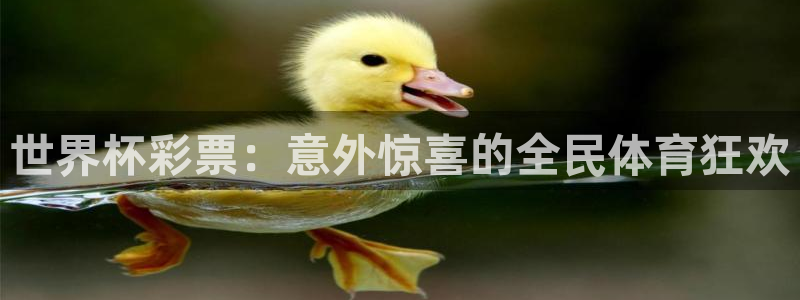 世界杯2026比赛时间表：世界杯彩票：意外惊喜的全民体育狂欢