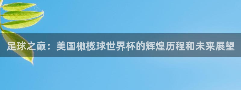 世界杯预选赛赛程表：足球之巅：美国橄榄球世界杯的辉煌历程和未来展望