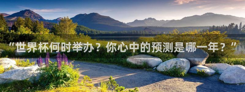 2026世界杯预选赛：“世界杯何时举办？你心中的预测是哪一年？”